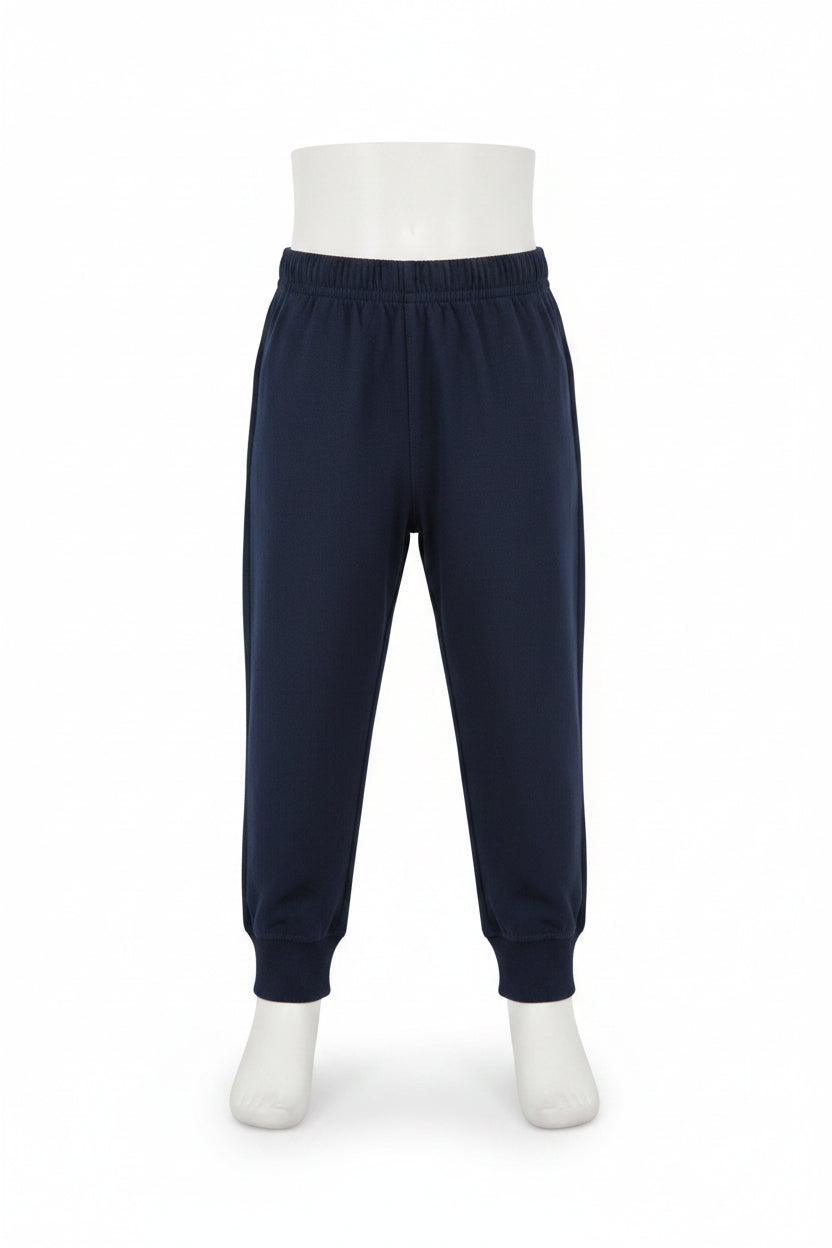 Toddler Boys  Blue Sweats