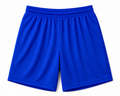 Royal Rush Mesh Athletic Shorts
