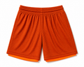 BlazeCore Reversible Mesh Athletic Shorts