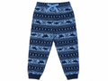 Boys Dinosaur Print Jogger Pants